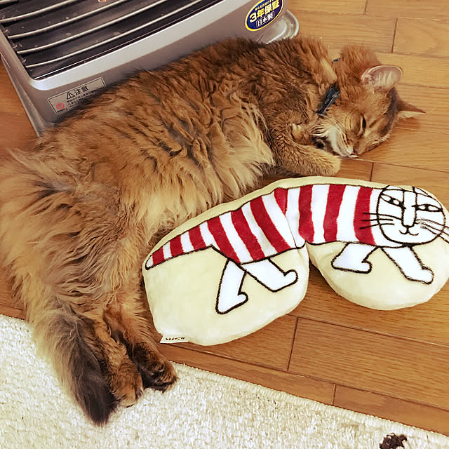 yukarinさんの実例写真