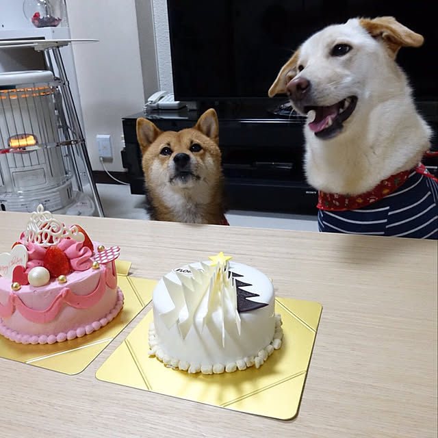 mtkさんの実例写真