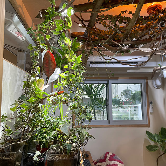 haruharuさんの実例写真