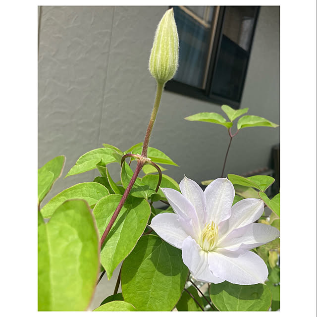 CoCo0617さんの部屋