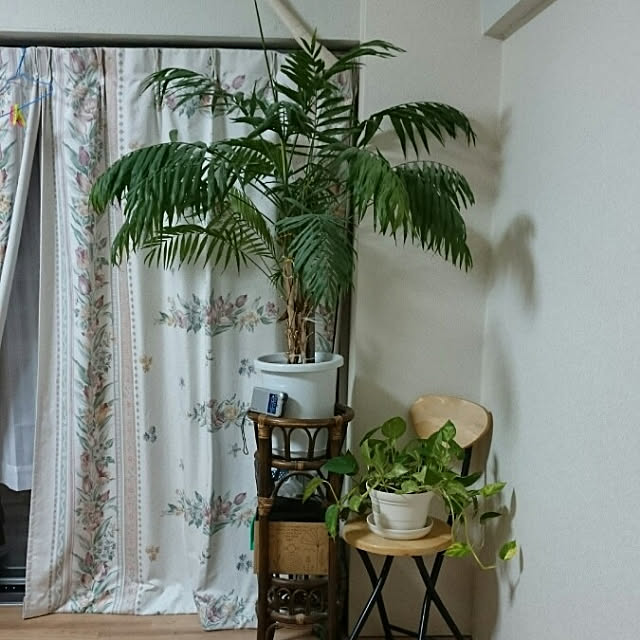 kiyochu7さんの実例写真