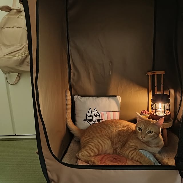 mayutan.さんの部屋