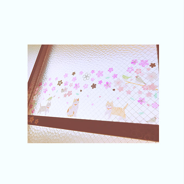 Suzuさんの実例写真