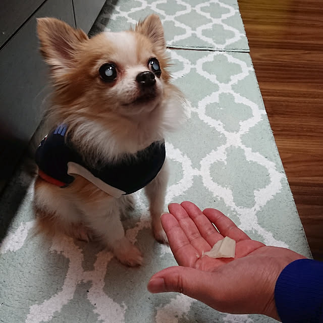 porinさんの実例写真