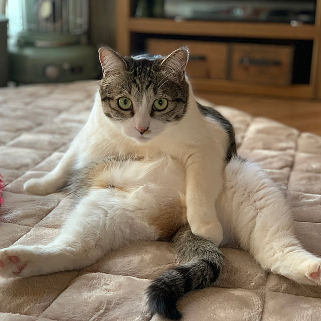 rioさんの実例写真