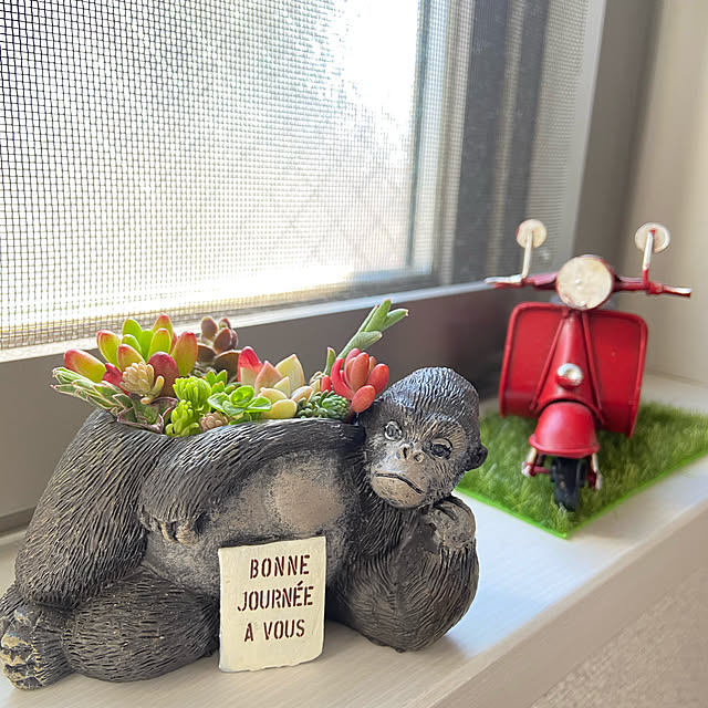 pochiさんの実例写真