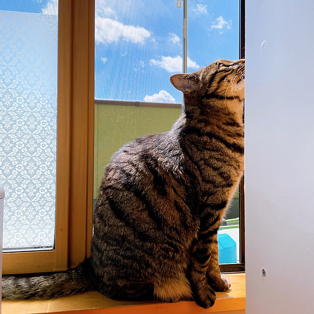 kumako0147さんの実例写真