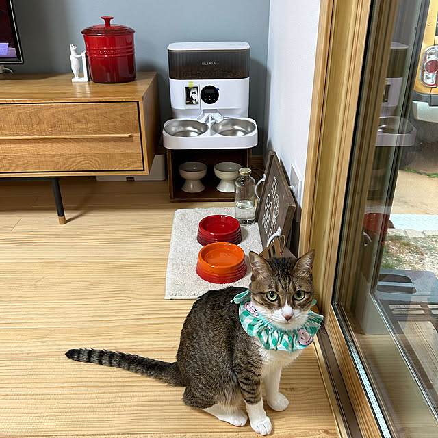haruさんの実例写真