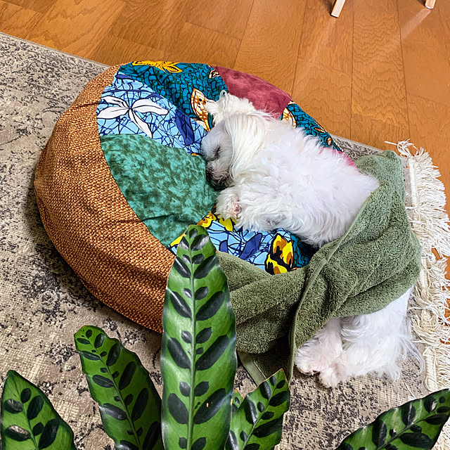 ponyoさんの部屋