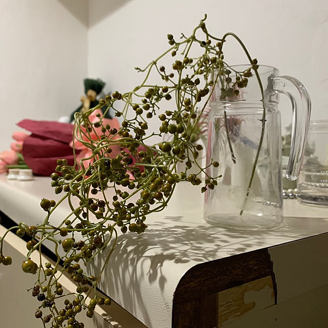 観葉植物/リノベーション/フェイクグリーン/玄関/入り口のインテリア実例 - 2021-01-05 23:39:14