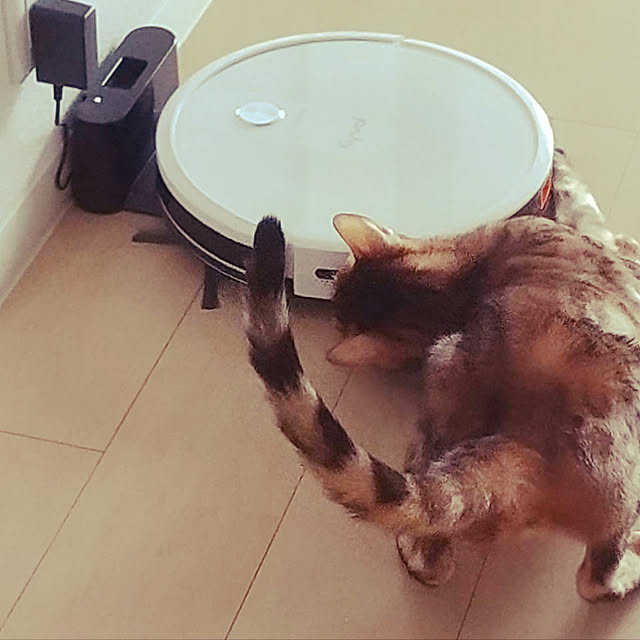nene6さんの実例写真