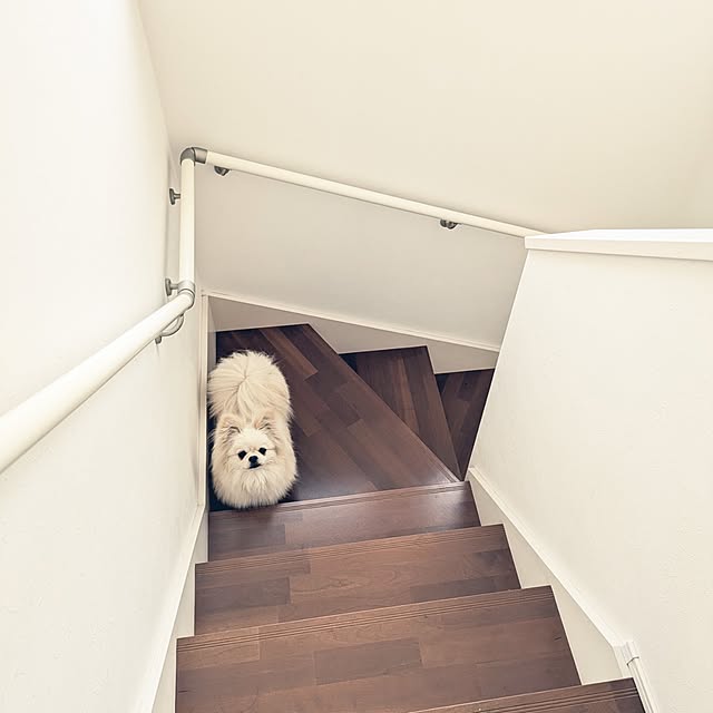 y.kkoさんの部屋