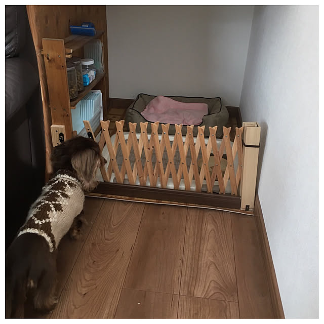 kanaさんの実例写真