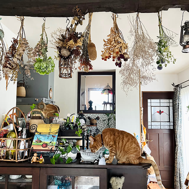 Maruさんの部屋