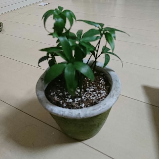 Maruさんの実例写真