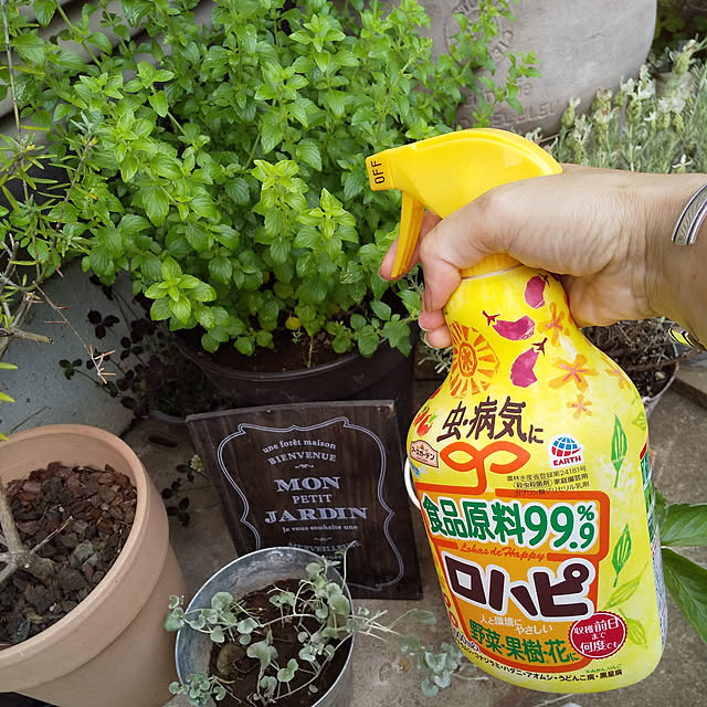 kintoto07さんの実例写真