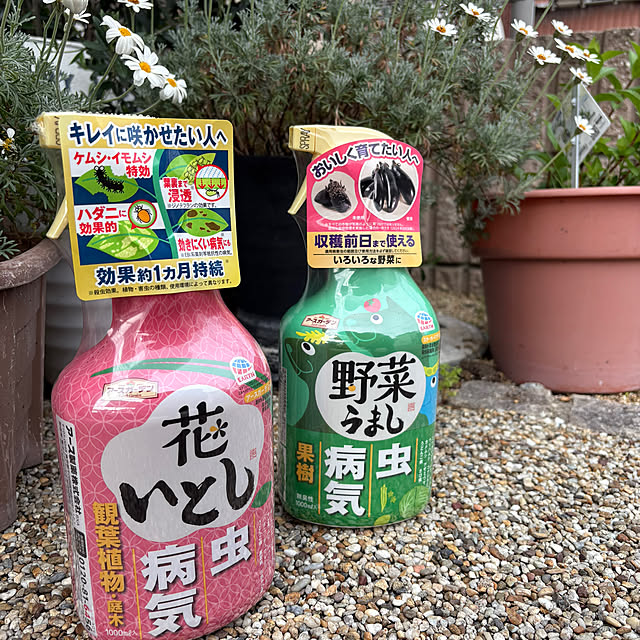 alchoさんの実例写真