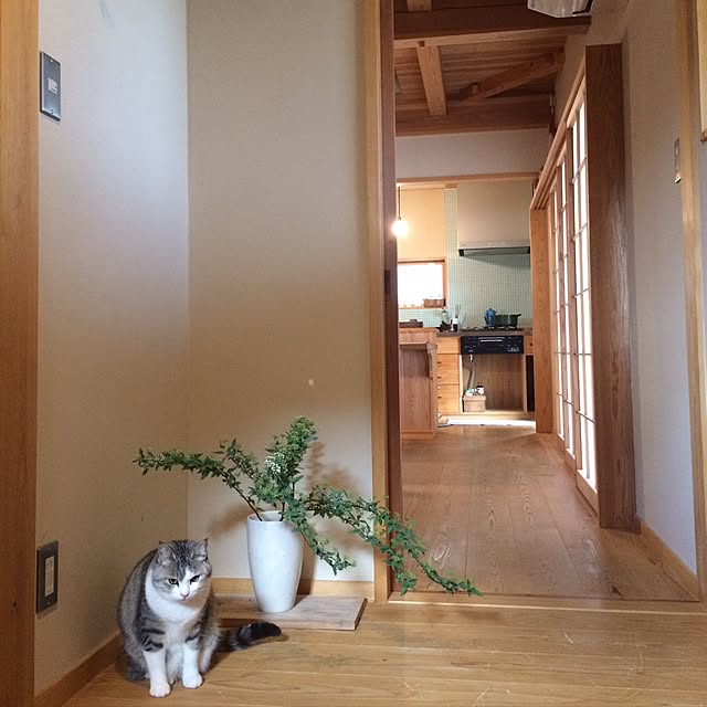 wakomaruさんの実例写真