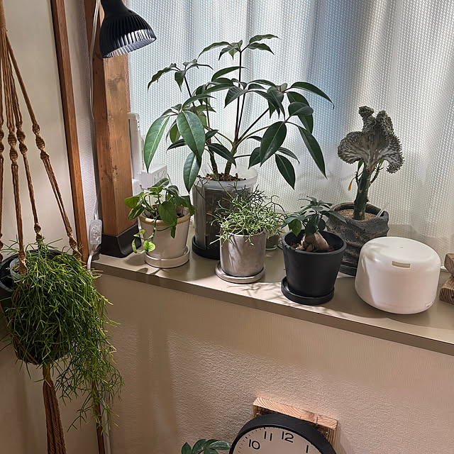 tankさんの実例写真