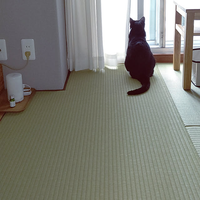 hihaさんの実例写真