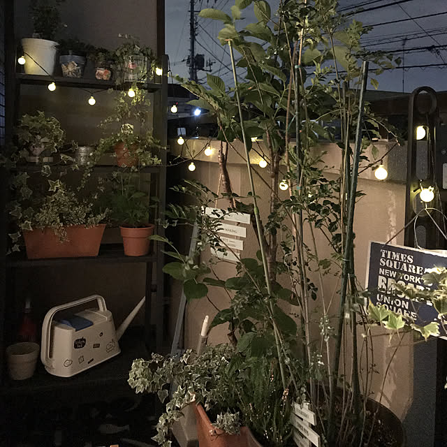 ange0919さんの実例写真