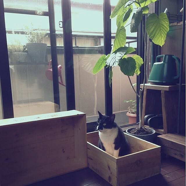 jnkaiさんの実例写真