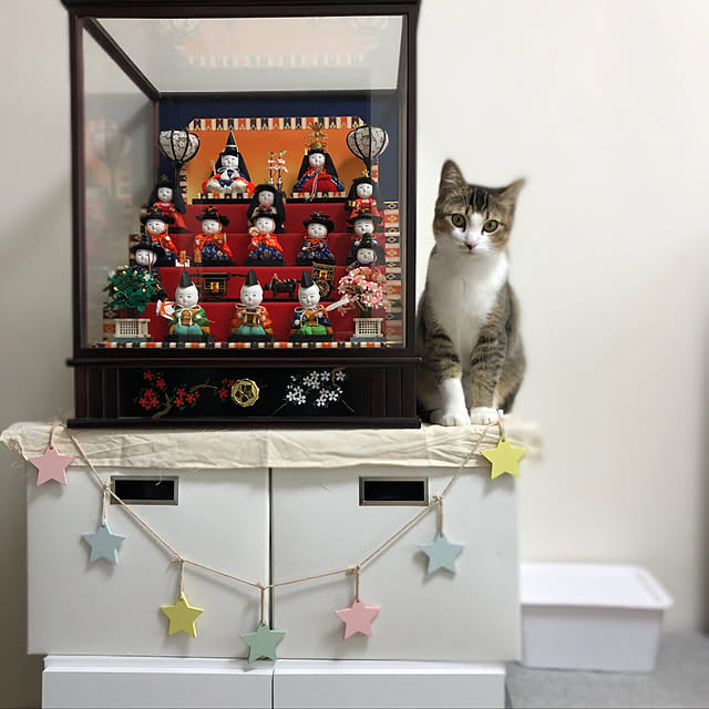 nekomiさんの実例写真