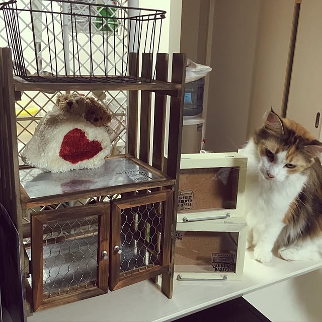 tinaema4530さんの実例写真