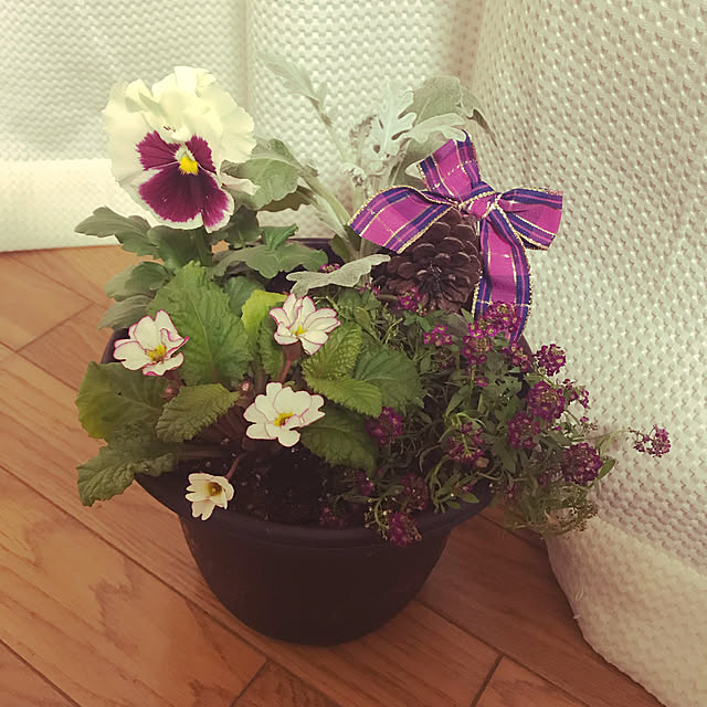 tommysobacさんの実例写真