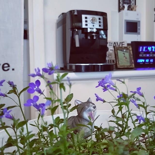 NOAHさんの部屋