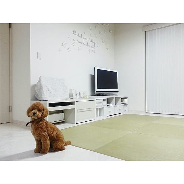 naoさんの実例写真