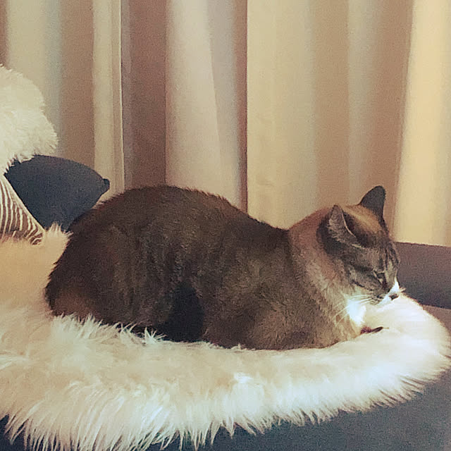 Myamatiさんの部屋