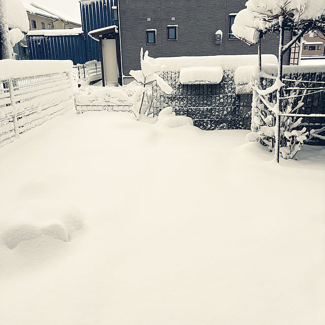 cyaroさんの実例写真