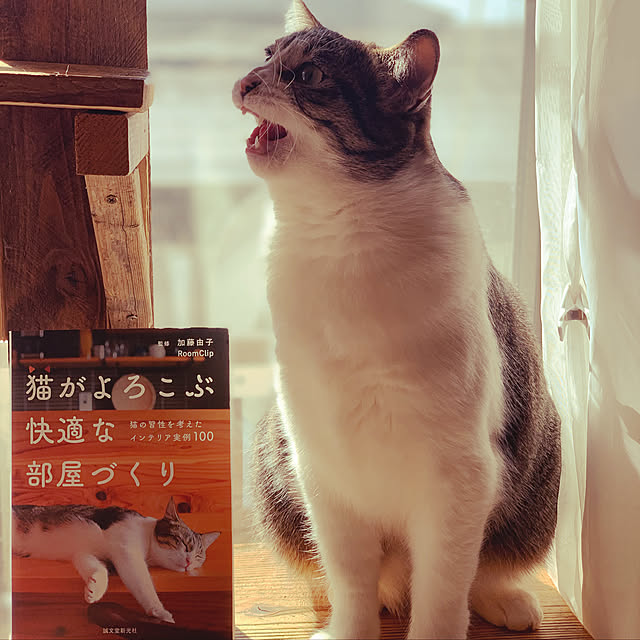 rioさんの実例写真