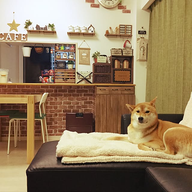 araibaさんの実例写真