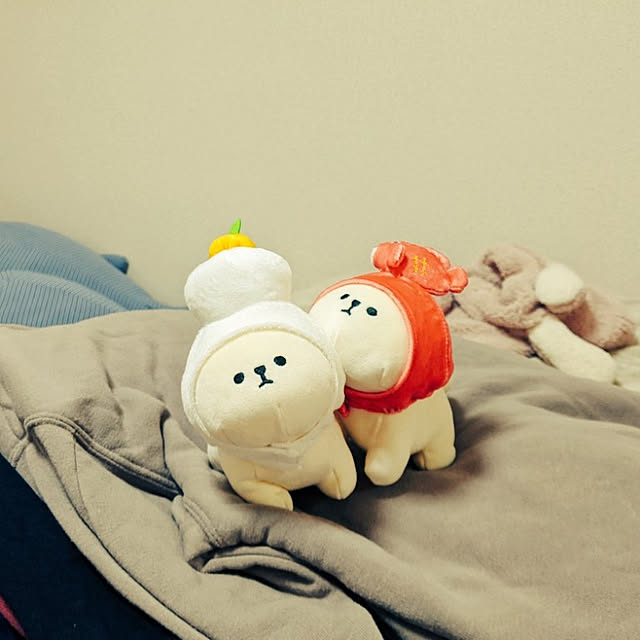humさんの実例写真