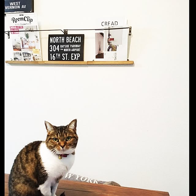 shinoさんの実例写真