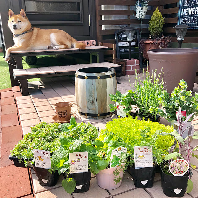 ronmaruさんの実例写真