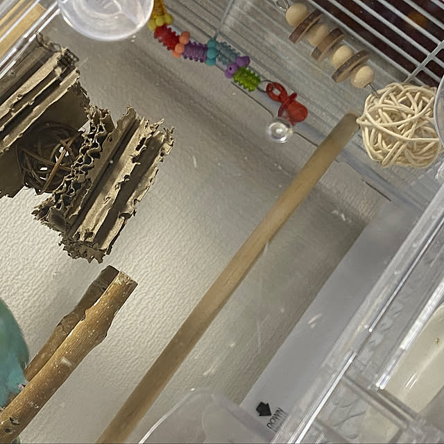 ohanaさんの部屋