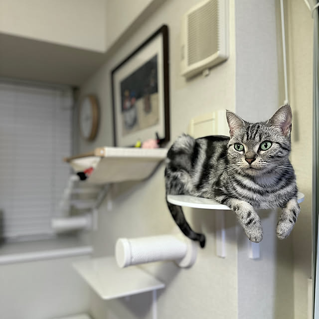 Yuki_with_a_tailさんの部屋