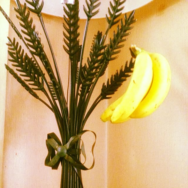 Takeyoshiさんの実例写真