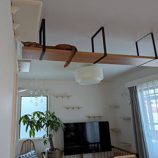 poteさんの部屋