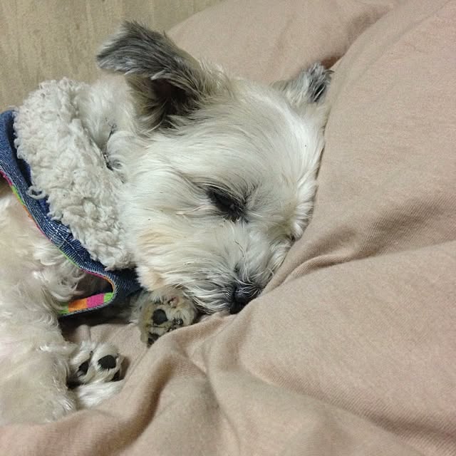 Chinatsuさんの実例写真