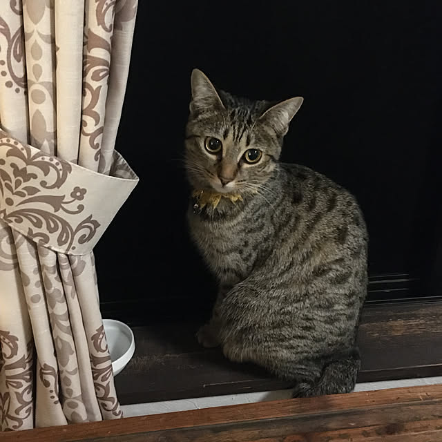 Mさんの実例写真
