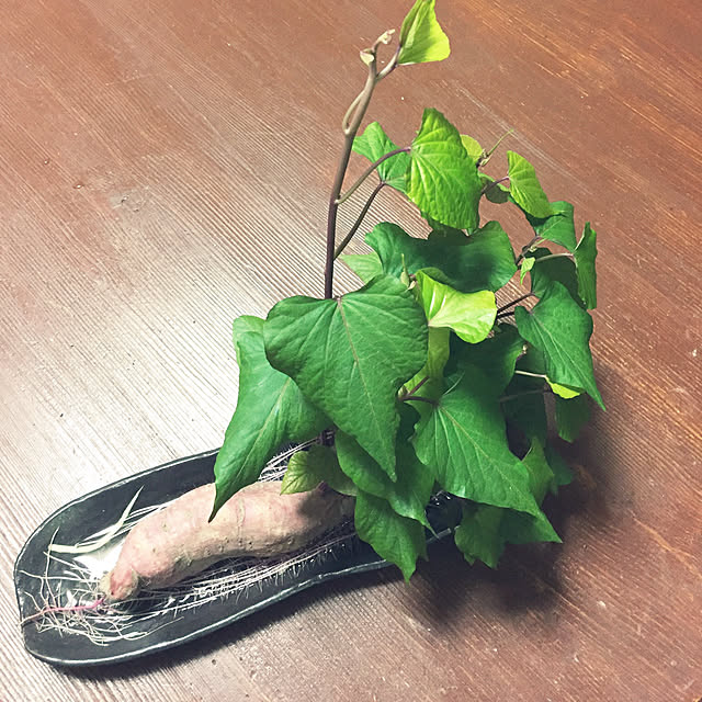 araimama-01170520さんの実例写真