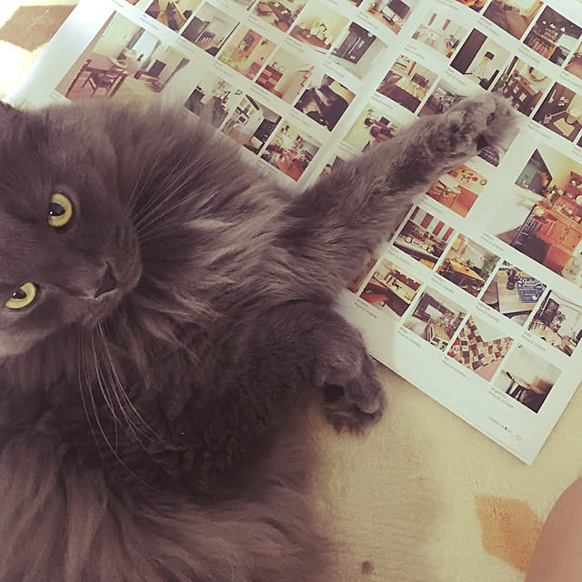 hanioさんの実例写真