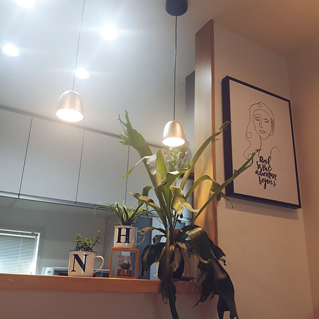 m.coccoさんの実例写真