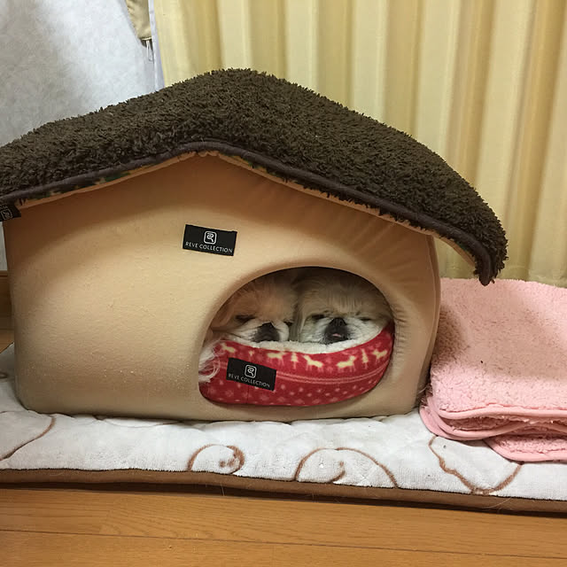 peko226さんの実例写真