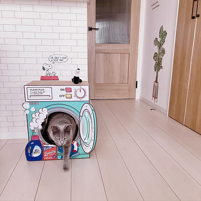 snoopyさんの実例写真