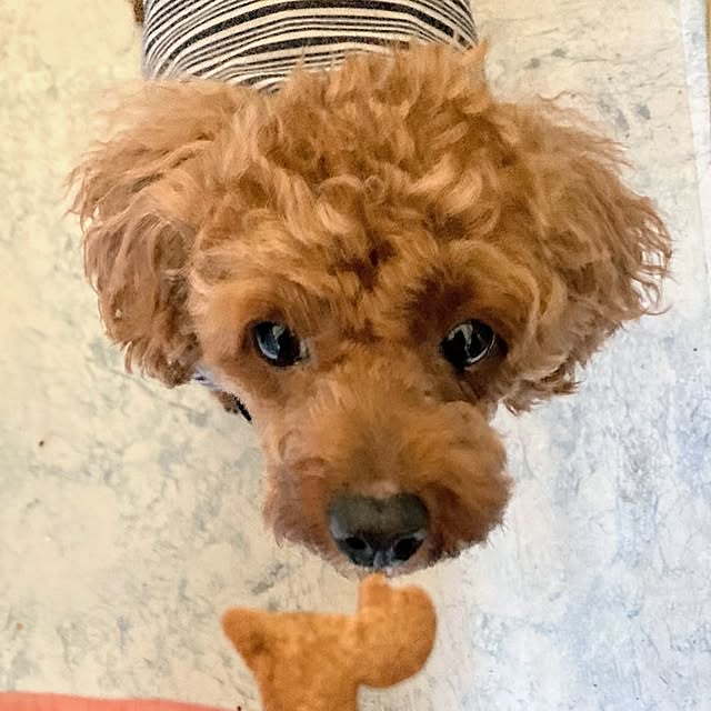 MOMOMAMAさんの部屋